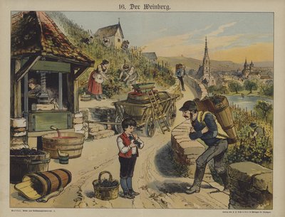 Vinho (cor litho) de German School