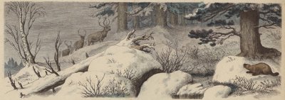 Paisagem de inverno no Canadá (gravura colorida) de German School
