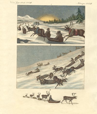 Viagens de inverno na Lapónia (gravura colorida) de German School