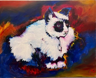 Bungee, o gato de Gerrit Greve
