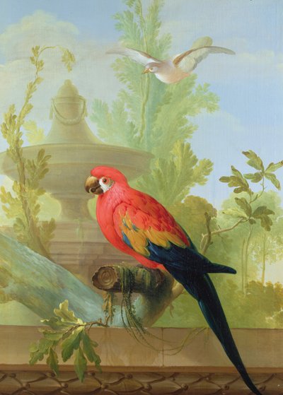 Uma arara e uma pomba em um jardim ornamental, 1772 de Gerrit van den Heuvel