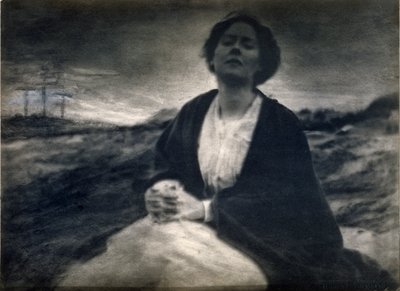 A herança da maternidade, 190004 (impressão de platina com algumas adições à mão) de Gertrude Käsebier