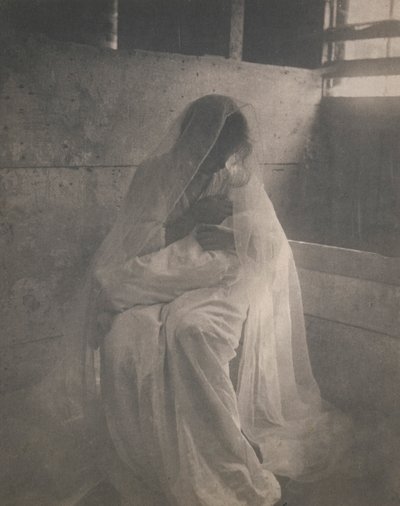 A manjedoura de Gertrude Käsebier