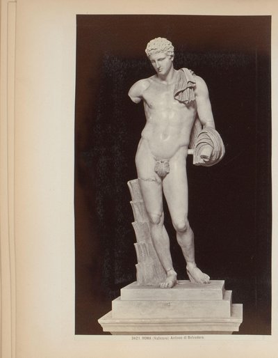 Escultura de Hermes de Belvedere nos Museus do Vaticano em Roma, Itália Roma (Vaticano) Antinoo di Belvedere (título no objeto) de Giacomo Brogi (attributed to)
