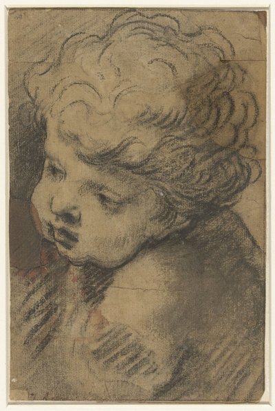 Cabeça de um putto de Giacomo Cavedone (attributed to)
