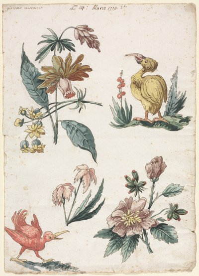 Desenhos florais com dois pássaros, 1774. de Giacomo Cavenezia