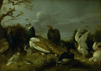 Pavões, patos e outros animais de Gijsbert Gillisz. de Hondecoeter