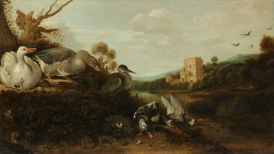 Aves aquáticas de Gijsbert Gillisz de Hondecoeter