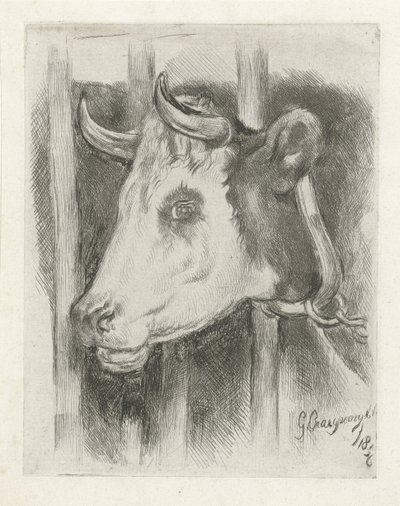 Cabeça de uma vaca de Gijsbertus Craeyvanger