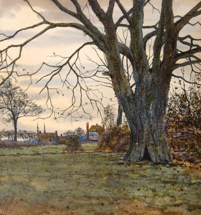 A árvore antiga de Gilbert Baird Fraser