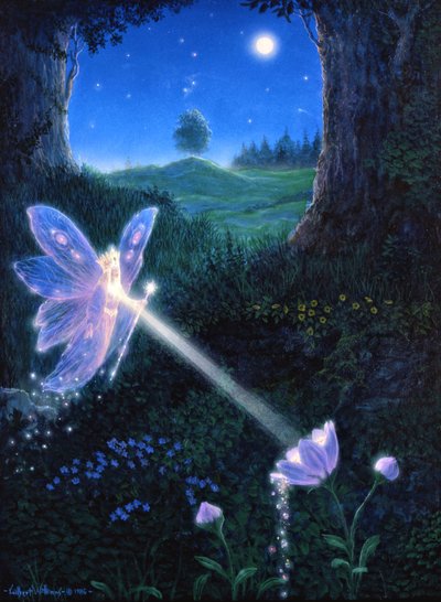 Flor de fada de Gilbert Williams