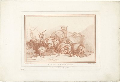 Reclinagem de ovelhas e cabras de Gilles Demarteau