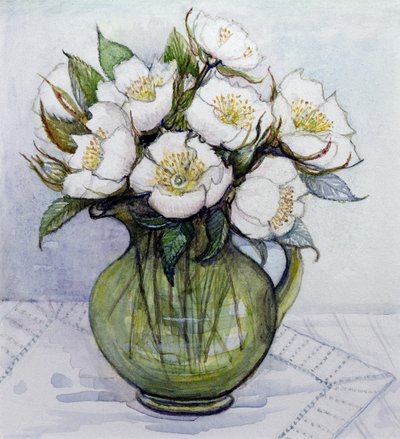 Rosas de Natal, 1984 de Gillian Lawson