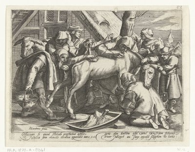 Lavagem do burro de Gillis van Breen