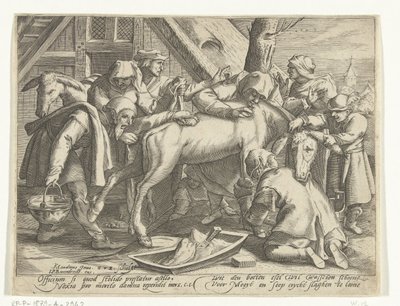 Lavando o burro de Gillis van Breen