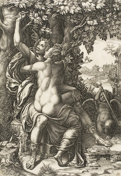 Angélica e Medoro, c.1570 de Giorgio Ghisi