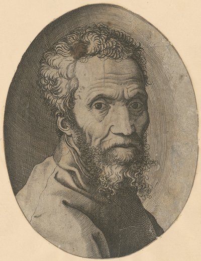 Retrato de Miguel Ângelo de Giorgio Ghisi