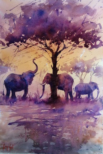 Elefantes africanos ao pôr-do-sol roxo de Giorgio Gosti