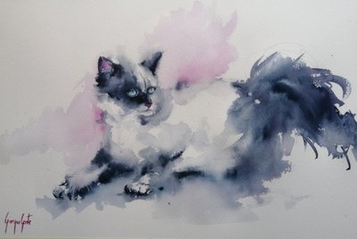 Gato de olhos azuis pintado em aguarela de Giorgio Gosti