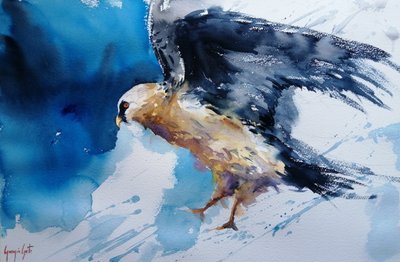 Pássaro em aquarela dinâmica de Giorgio Gosti