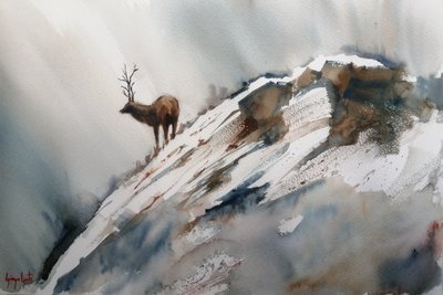 Alces nas montanhas no inverno de Giorgio Gosti