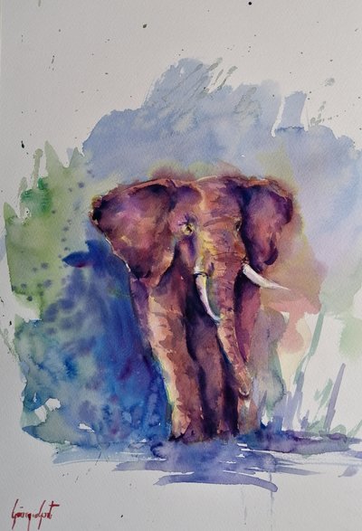 Majestoso elefante em aguarela de Giorgio Gosti