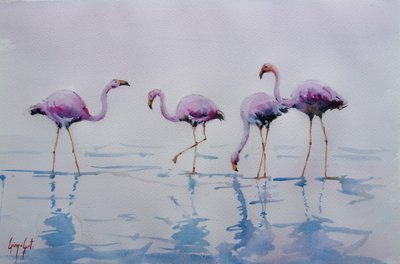 Flamingos-rosados a caminhar na água de Giorgio Gosti
