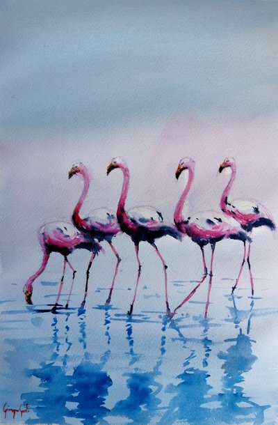 Flamingos-rosa a caminhar na água de Giorgio Gosti