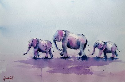 Família do Elefante Roxo de Giorgio Gosti