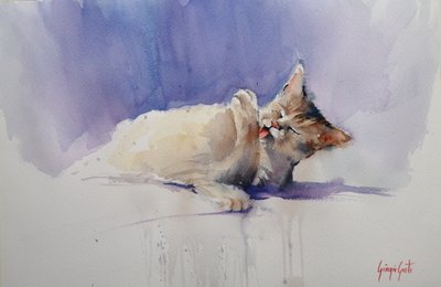 Gatinho fofo a lamber de Giorgio Gosti