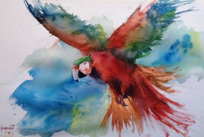 Arara colorida em voo de Giorgio Gosti