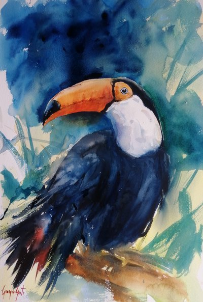 Tucano tropical colorido de Giorgio Gosti