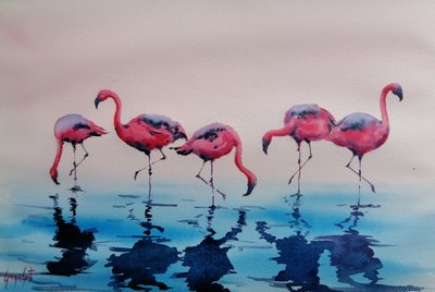 Flamingos-rosa a chapinhar de Giorgio Gosti