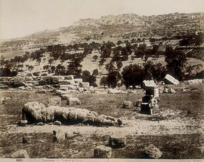 Agrigento: uma vista das ruínas do Templo de Júpiter de Giorgio Sommer