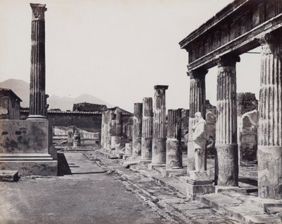 Colunata oriental do Templo de Vénus Pompeia em Pompeia de Giorgio Sommer