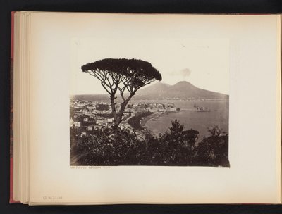 Vista de Nápoles, Itália, com um pinheiro em primeiro plano
Panorama dal Vomero Napoli (título sobre o objecto) de Giorgio Sommer