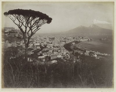 Vista da cidade de Nápoles, da baía e do Vesúvio de Giorgio Sommer