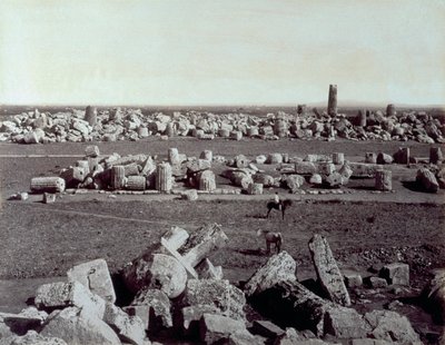Panorama dos restos mortais do Templo de Minerva e do Templo de Apolo em Selinunte. Há um homem a cavalo entre as ruínas do sítio arqueológico. de Giorgio Sommer