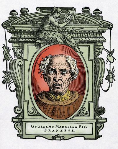 Retrato de Guilherme de Marcillat de Giorgio Vasari