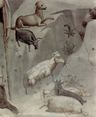 Cenas da vida de Joaquim: 5. O sonho de Joaquim

 (pormenor) de Giotto