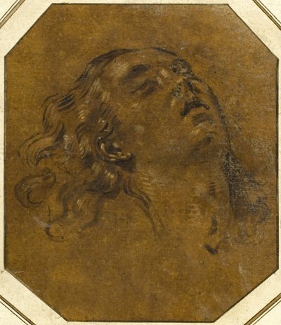 Cabeça Feminina de Giovan Gioseffo dal Sole
