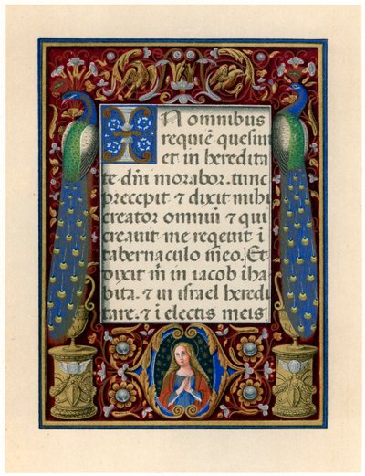 Página de texto com a Virgem e dois pavões, c1490 de Giovan Pietro Birago