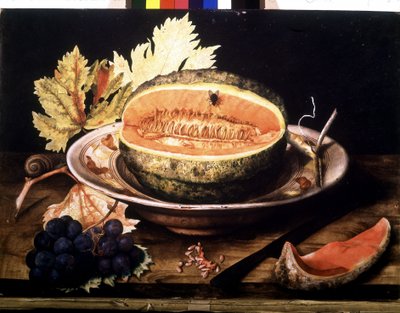 Melancia com mosca. Óleo sobre tela de Giovanna Garzoni de Giovanna Garzoni