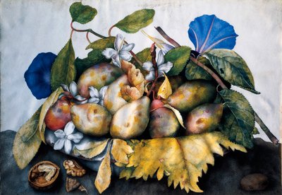 Prato de ameixas, jasmim e nozes Pintura em pergaminho por Giovanna Garzoni (1600-1670) de Giovanna Garzoni