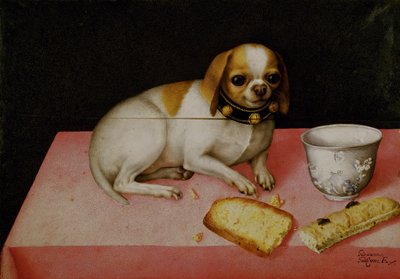 Retrato de um cão (óleo sobre tela) de Giovanna Garzoni