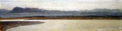 Boca do Arno (óleo sobre painel) de Giovanni Costa
