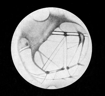 Os canais duplos de Marte (canais marcianos ou canais canalianos), depois de Giovanni Virginio Schiaparelli (1835-1910), astrónomo italiano (1890) - em "O Céu", de Alphonse Berget, Larousse de Giovanni (after) Schiaparelli