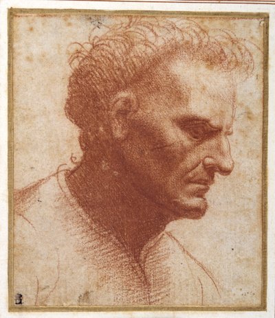 Cabeça de um homem sem urso olhando para baixo (giz vermelho no papel) de Giovanni Agostino da Lodi