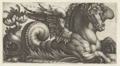 Cavalo-marinho alado com uma folha aberta no final da cauda da qual se projetam dois pistilos Frísios com monstros marinhos (título da série) de Giovanni Andrea Maglioli