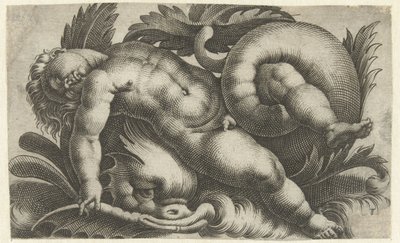 Putto dormindo no golfinho Putti em criaturas do mar (título da série) de Giovanni Andrea Maglioli